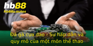 Đá gà cựa dao - Sự hấp dẫn và quy mô của một môn thể thao truyền thống 3 A Ga Cua Dao Su Hap Dan Va Quy Mo Cua Mot Mon The Thao Truyen Thong