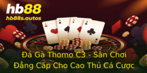 Đá Gà Thomo C3 - Sân Chơi Đẳng Cấp Cho Cao Thủ Cá Cược 2 A Ga Thomo C3 San Choi Ang Cap Cho Cao Thu Ca Cuoc