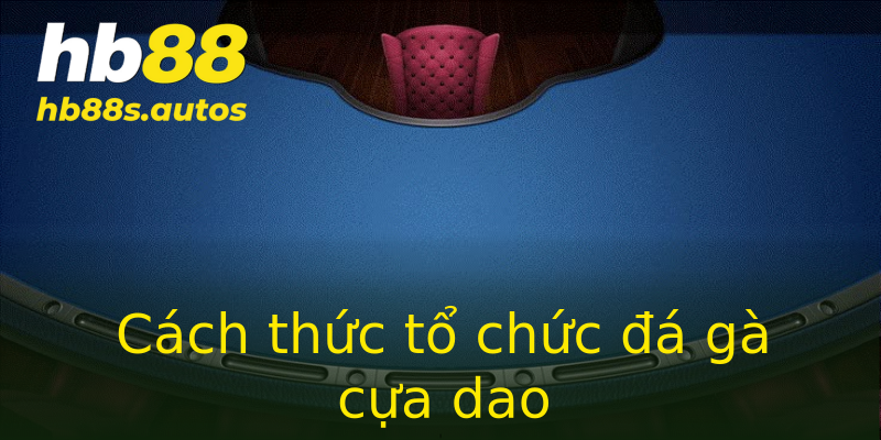Cách thức tổ chức đá gà cựa dao Cách thức tổ chức đá gà cựa dao