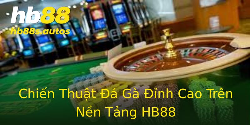 Chiến Thuật Đá Gà Đỉnh Cao Trên Nền Tảng HB88 Chiến Thuật Đá Gà Đỉnh Cao Trên Nền Tảng HB88