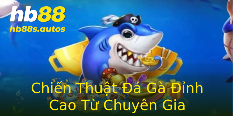 Chiến Thuật Đá Gà Đỉnh Cao Từ Chuyên Gia Chiến Thuật Đá Gà Đỉnh Cao Từ Chuyên Gia