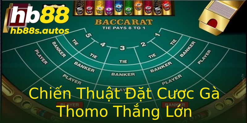 Chiến Thuật Đặt Cược Gà Thomo Thắng Lớn Chiến Thuật Đặt Cược Gà Thomo Thắng Lớn