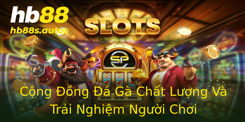 Cộng Đồng Đá Gà Chất Lượng Và Trải Nghiệm Người Chơi Cộng Đồng Đá Gà Chất Lượng Và Trải Nghiệm Người Chơi