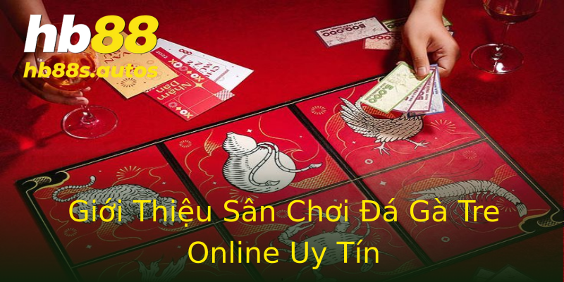 Giới Thiệu Sân Chơi Đá Gà Tre Online Uy Tín Giới Thiệu Sân Chơi Đá Gà Tre Online Uy Tín