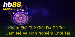 Khám Phá Thế Giới Đá Gà Tre - Đam Mê Và Kinh Nghiệm Chơi Tại HB88 7 Kham Pha The Gioi A Ga Tre Am Me Va Kinh Nghiem Choi Tai Hb88
