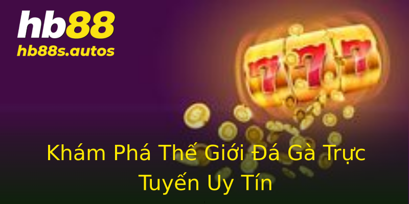 Khám Phá Thế Giới Đá Gà Trực Tuyến Uy Tín Khám Phá Thế Giới Đá Gà Trực Tuyến Uy Tín