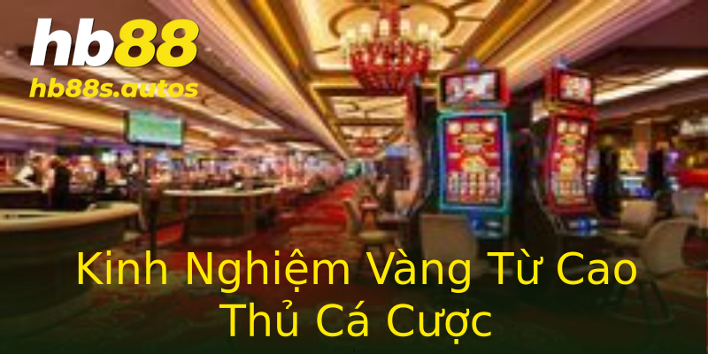 Kinh Nghiệm Vàng Từ Cao Thủ Cá Cược Kinh Nghiệm Vàng Từ Cao Thủ Cá Cược