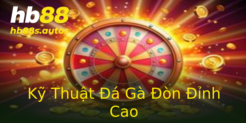 Kỹ Thuật Đá Gà Đòn Đỉnh Cao Kỹ Thuật Đá Gà Đòn Đỉnh Cao