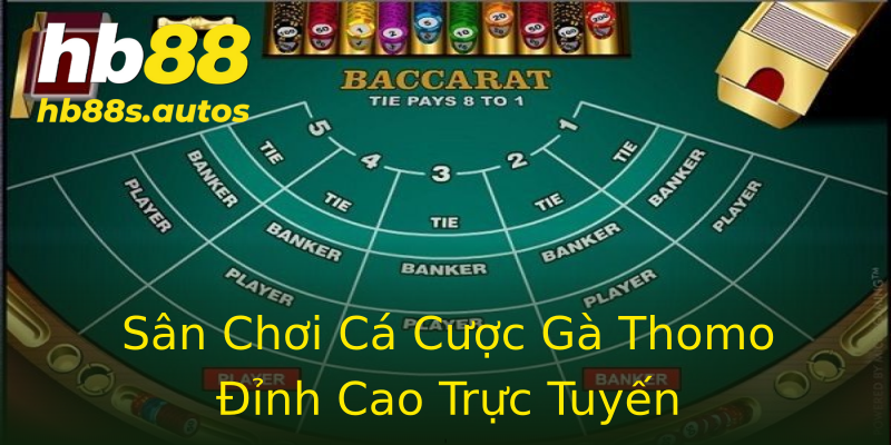 Sân Chơi Cá Cược Gà Thomo Đỉnh Cao Trực Tuyến Sân Chơi Cá Cược Gà Thomo Đỉnh Cao Trực Tuyến
