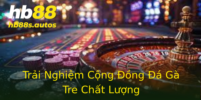 Trải Nghiệm Cộng Đồng Đá Gà Tre Chất Lượng Trải Nghiệm Cộng Đồng Đá Gà Tre Chất Lượng